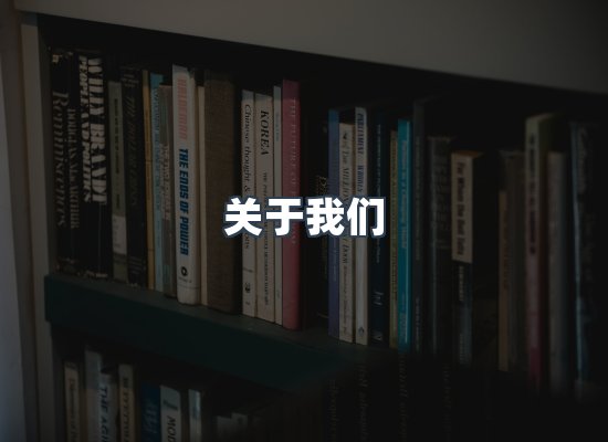 专业团队